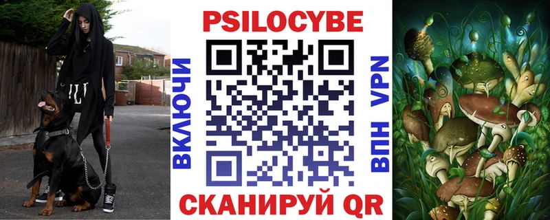 как найти закладки  Сасово  это телеграм  Галлюциногенные грибы прущие грибы 